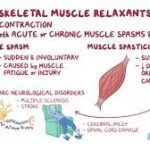 Muscle Relaxant Effects via CNS Depressants