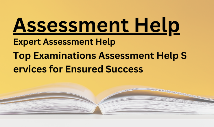 Assessment help