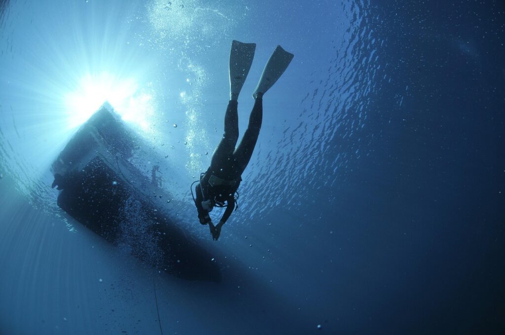 Coral Reefs in Dubai: What You Need to Know Before Diving