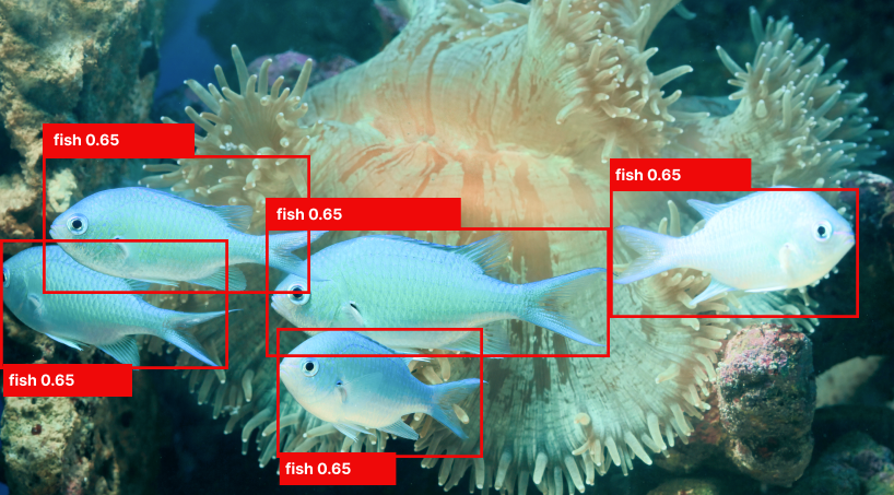 Revolutionizing Underwater Detection with AI-Powered Computer Vision